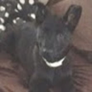 Meet your Posher, Crystal